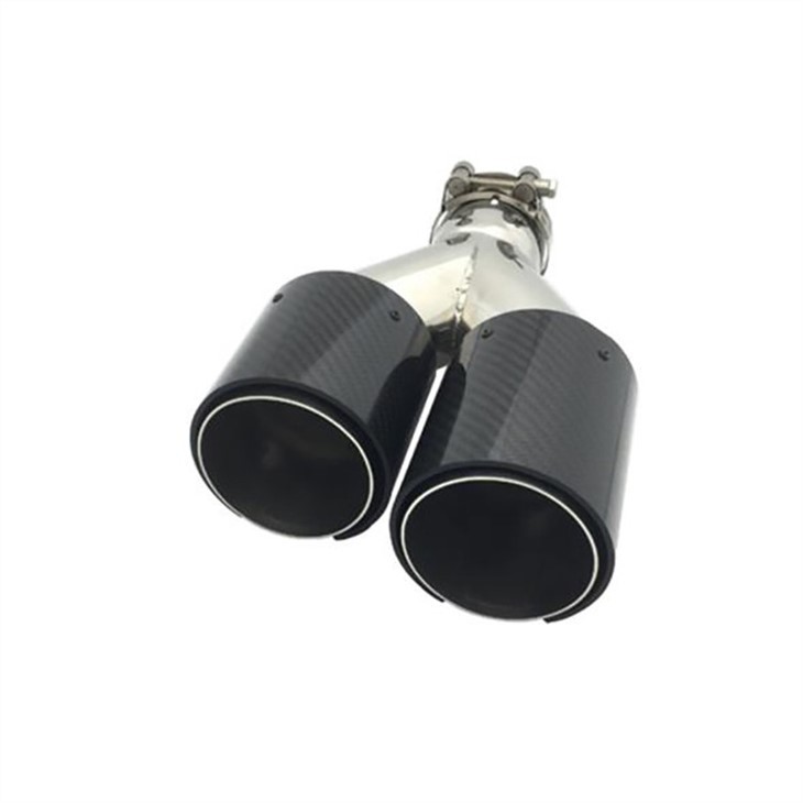 car dual exhaust pipe-1
